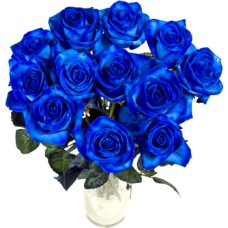 12 Rose Blue (DELUXE) 12 Rose Blue (DELUXE)